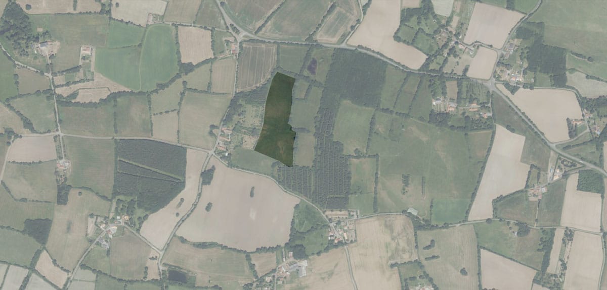 Bois du Fief des Ormeraies — parcelles du projet à Saint-Viaud